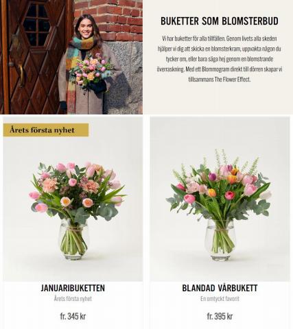 Interflora-katalog | Buketter som Blomsterbud | 2023-01-10 - 2023-02-18