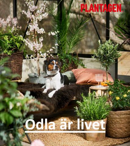 Erbjudanden av Möbler och Inredning i Haninge | Odla är livet de Plantagen | 2022-05-02 - 2022-05-31