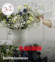 Plantagen-katalog i Valbo | Snittblommor | 2023-09-12 - 2023-10-23