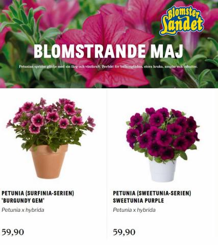 Erbjudanden av Bygg och Trädgård i Sundsvall | BLOMSTRANDE MAJ de Blomsterlandet | 2022-05-02 - 2022-05-31