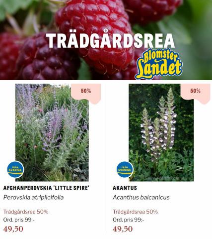 Blomsterlandet-katalog | Trädgårdsrea | 2022-10-04 - 2022-10-23