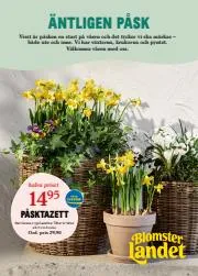 Blomsterlandet-katalog | Blomsterlandet Erbjudande Aktuell Kampanj | 2023-03-28 - 2023-04-02