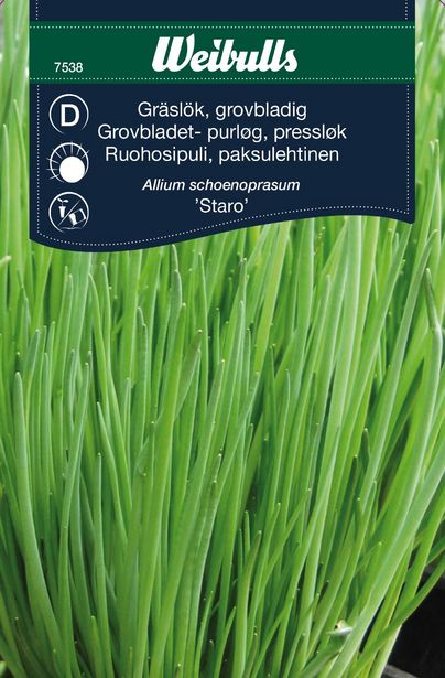 Gräslök extra grov 'Staro' för 39,9 kr på Blomsterlandet
